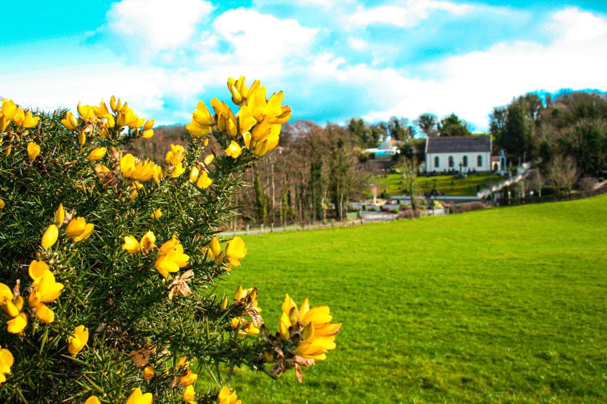 The Coach Inn Strabane Bagian luar foto